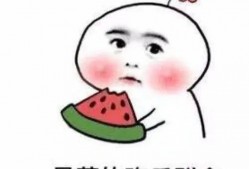 娱乐吃瓜酱低智商